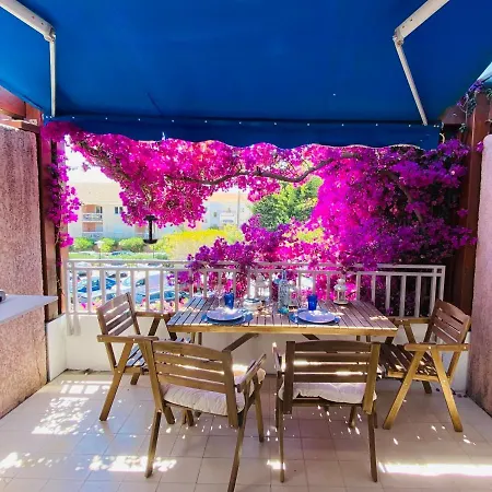 Duplex Face . Cavaliere 3 ル・ラヴァンドゥー